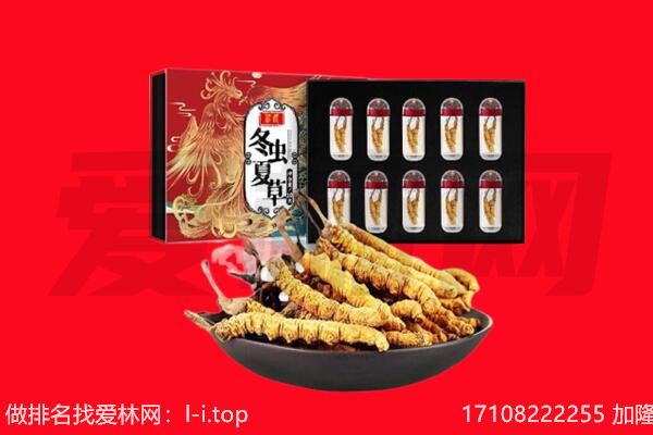 关岭县回收虫草.jpg